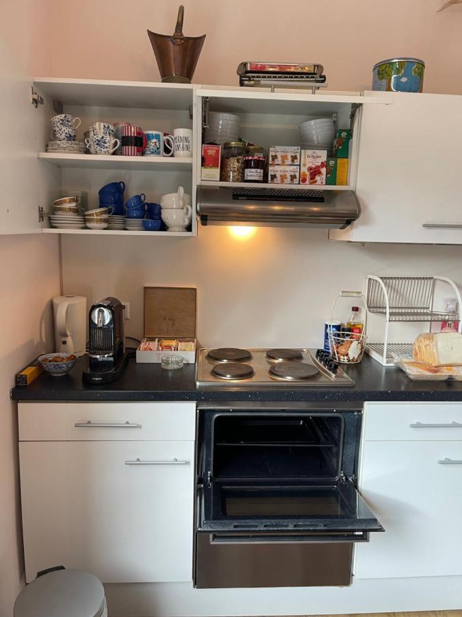 Oase Van Haarlem, 15 Minuten Van Amsterdam Bed & Breakfast